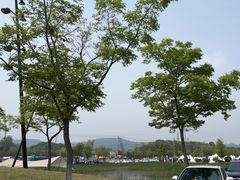 -佛手湖郊野公园
