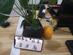 -九道菜有鸡鱼头(石鼓路店)