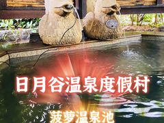 -厦门日月谷温泉渡假村