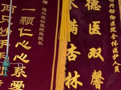 -瑞派福兴宠物医院犬猫全科·骨科·中西医结合(河东店)