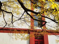 -四川大学(望江校区)