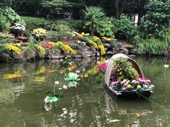 -汇龙潭