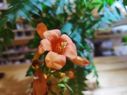 -今日陶艺(富力广场店)