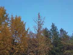 -西北湖绿化广场