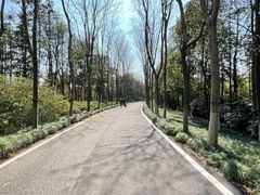 -宜兴龙背山森林公园