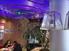 -老板恋上鱼(恒隆广场店)