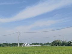 -小陆莲花蟹园农家乐(莲花岛店)