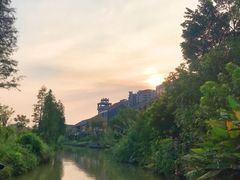 -江门古劳水乡旅游区