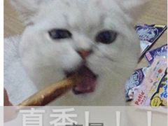 -新疆阿卜杜拉烧烤餐厅(四方坪店)