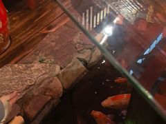-鱼满舱·鲜活海鲜·正宗鲁菜