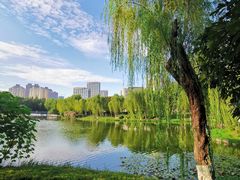 -后襄河公园