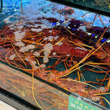 澳门这家。。真的没对手！