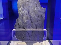 -吉林市博物馆