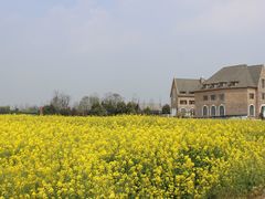 -中国天府农业博览园