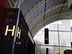 -上海市第一人民医院(松江南部)