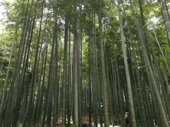 -浙北大厦购物中心(安吉店)