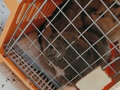 -瑞派康怡24h宠物医院·犬猫医疗中心·微创绝育(瑞景分院)