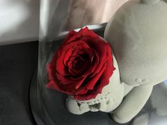 -ROSEONLY诺誓(国际广场购物中心店)