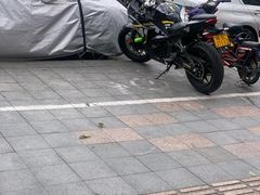 -安安宠物医院(佳林路分院)