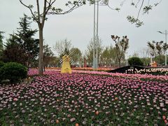 -廊坊文化艺术中心