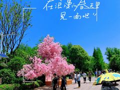 -苏州太湖国家湿地公园
