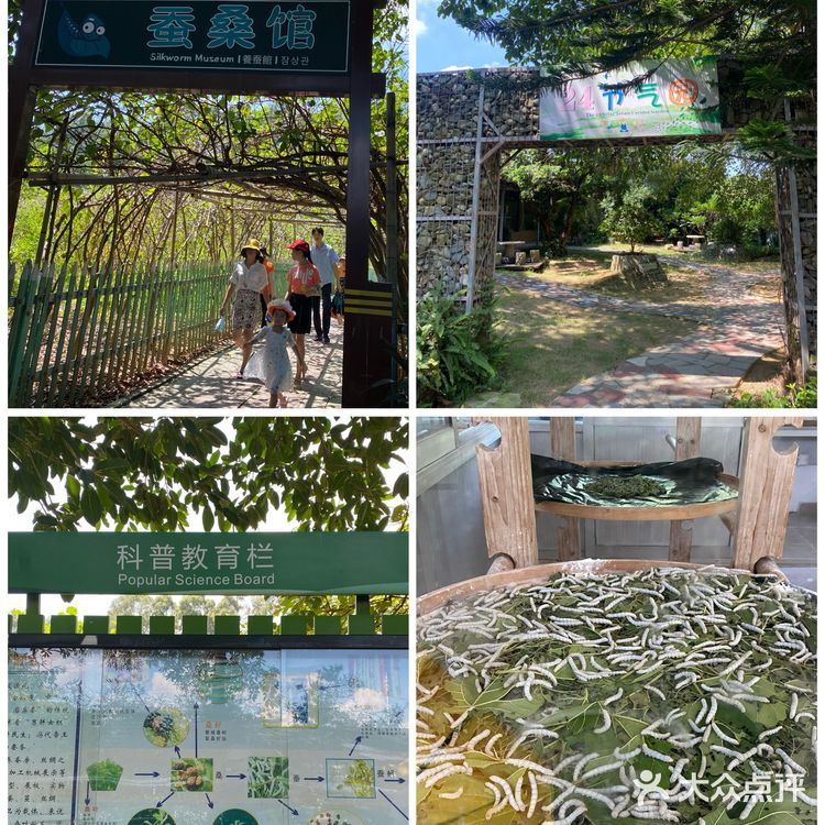 🐮国庆假期亲子游好去处｜光明农场大观园