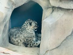 -青藏高原野生动物园