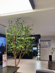 -付军剪艺JF ProSalon