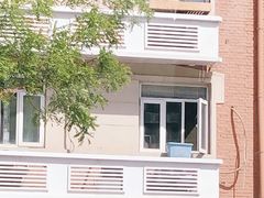 -清真·二嫂子煎饼果子(卫津路总店)