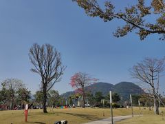 -白石龙音乐公园