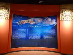 -迪庆藏族自治州博物馆