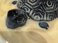 -肥福排档(星光店)