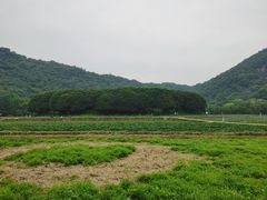 -八卦田遗址公园