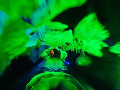 -泰安地下龙宫景区