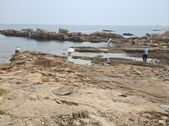 -日照海滨国家森林公园