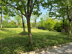 -上海吴淞炮台湾国家湿地公园