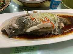 清蒸鲈鱼-力力豆花庄(广渠门店)