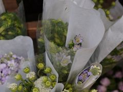 -知物癖(牛王庙店)