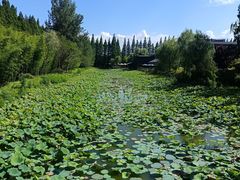 -黄海国家森林公园