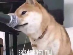 -1点点(中山门大街店)