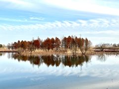 -贡湖湾湿地公园