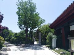-大雁塔北广场音乐喷泉