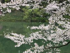 -古韵餐厅(湖畔大学店)