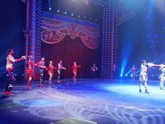 -珠海横琴长隆《卡卡虎奇遇记》