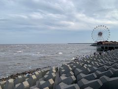 -奉贤海滩