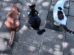 -晓港公园