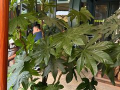 -熙楼(翠湖店)