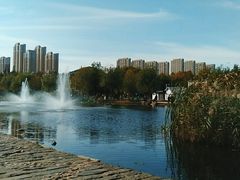 -前关湿地公园