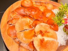 -季季山·云南野生菌火锅(上海首店)