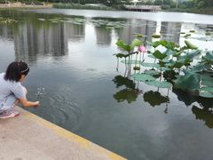 -新江湾城公园